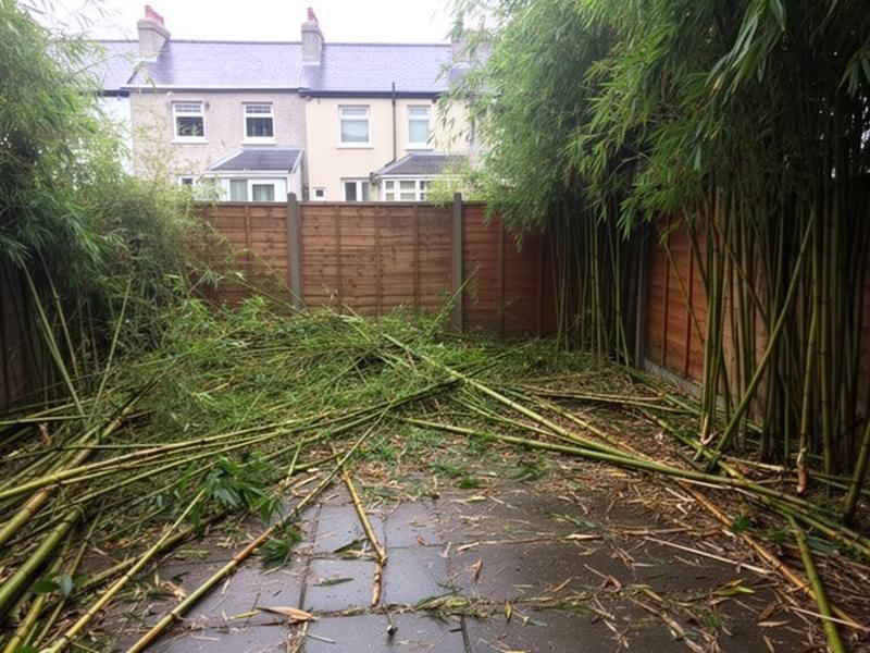 Before: Garden Reclaimed in Cardiff