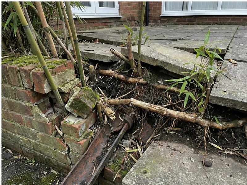 Property Damage